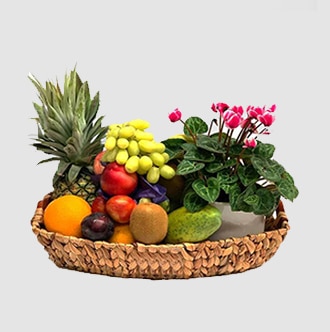 Comprar frutas con flor y planta